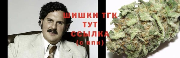 шишки Белокуриха