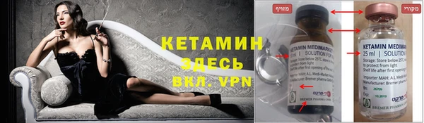 шишки Белокуриха