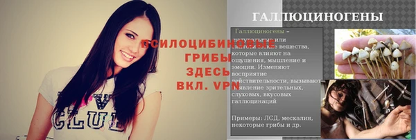 молекула духа Богородск