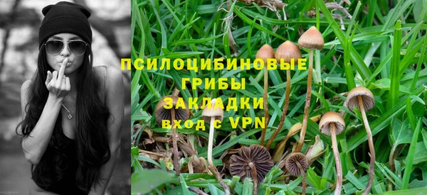 кокаин премиум Богородицк