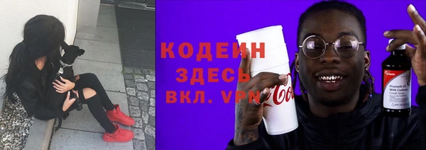 шишки Белокуриха
