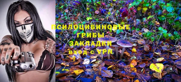 эйфоретик Беломорск