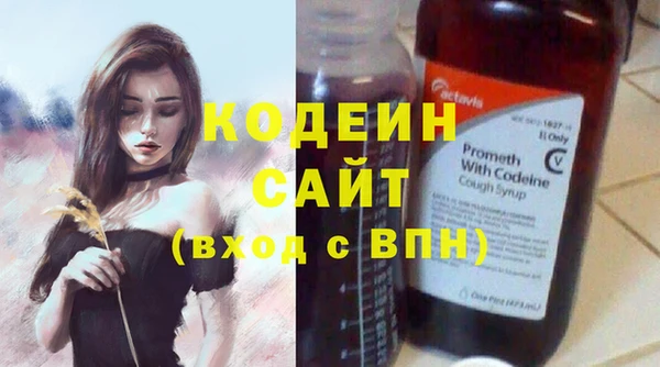шишки Белокуриха