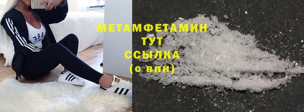 шишки Белокуриха