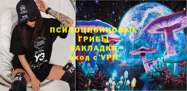 шишки Белокуриха