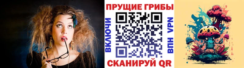 Псилоцибиновые грибы Psilocybe Будённовск